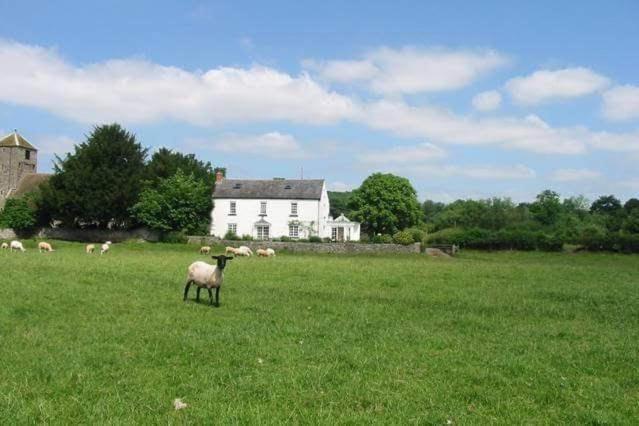 Abergavenny All B&Bs